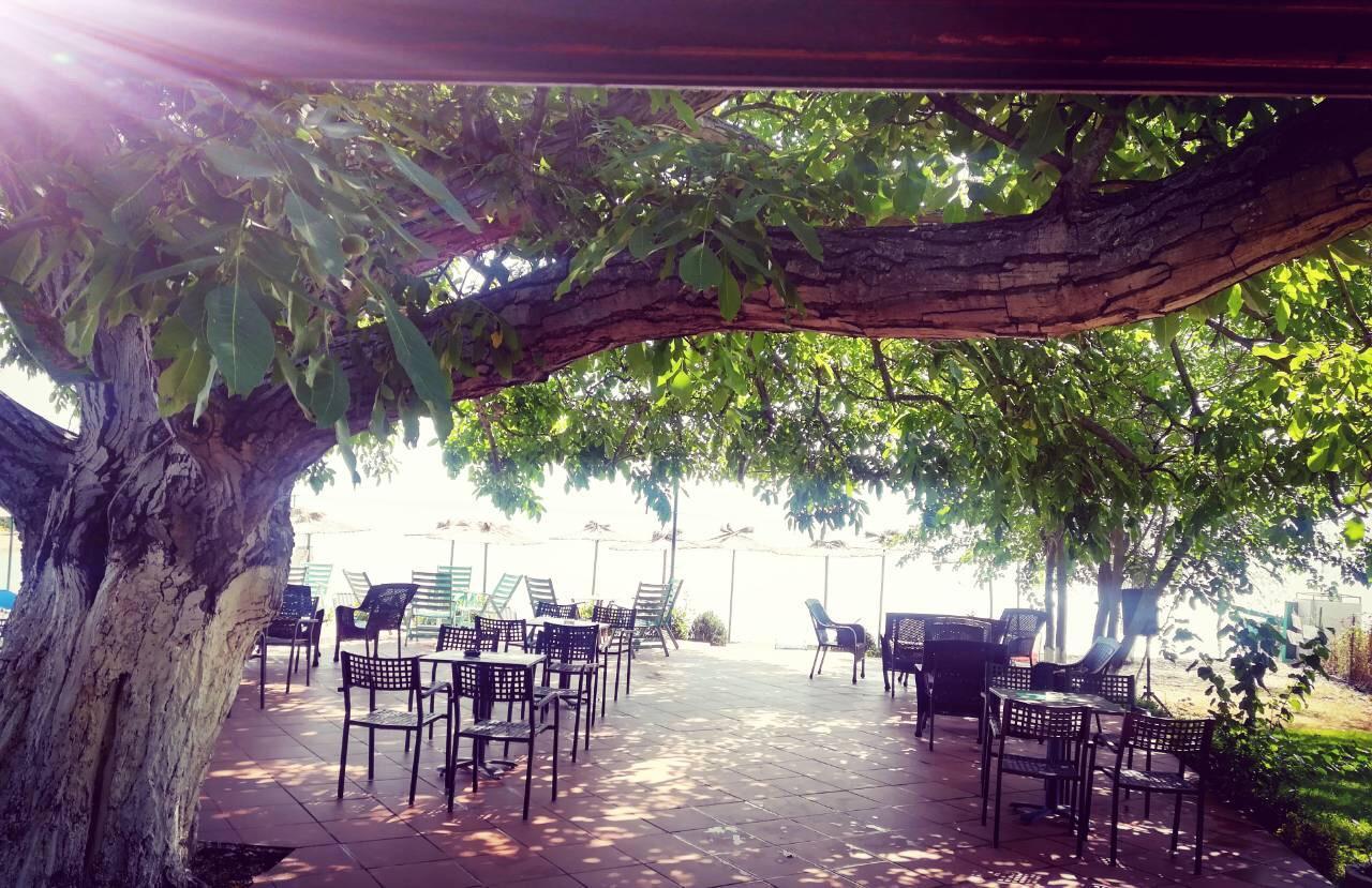 Apartmani Alex Beach Dojran Exterior photo